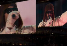 Bad Bunny conquista Estádio da Luz e homenageia Lisboa em Noite Histórica (As imagens!)