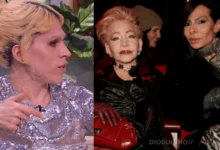 David Motta desmascara José Castelo Branco sobre 'apagar' Betty e manipular a sociedade!