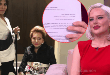 "Lugar no inferno": Filipa Torrinha arrasa José Castelo Branco em direto no «Passadeira Vermelha»