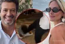 André Ventura partilha vídeo de agressão violenta em Lisboa e Helena Isabel 'revolta-se'!