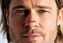 Brad Pitt mais perto de desmascarar venda de Miraval: Tribunal dá-lhe razão