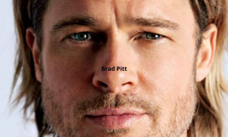 Brad Pitt mais perto de desmascarar venda de Miraval: Tribunal dá-lhe razão