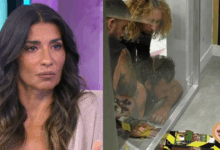 Isabel Figueira sai em defesa de João Ricardo em alegada 'agressão' acusada por Marisa Susana