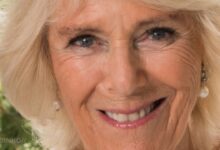 Harry engole orgulho: Camilla presente no reencontro familiar