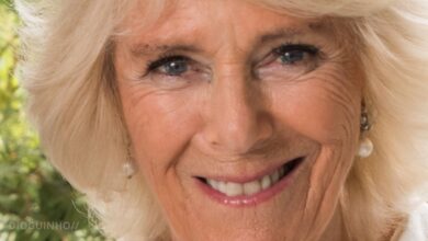 Harry engole orgulho: Camilla presente no reencontro familiar