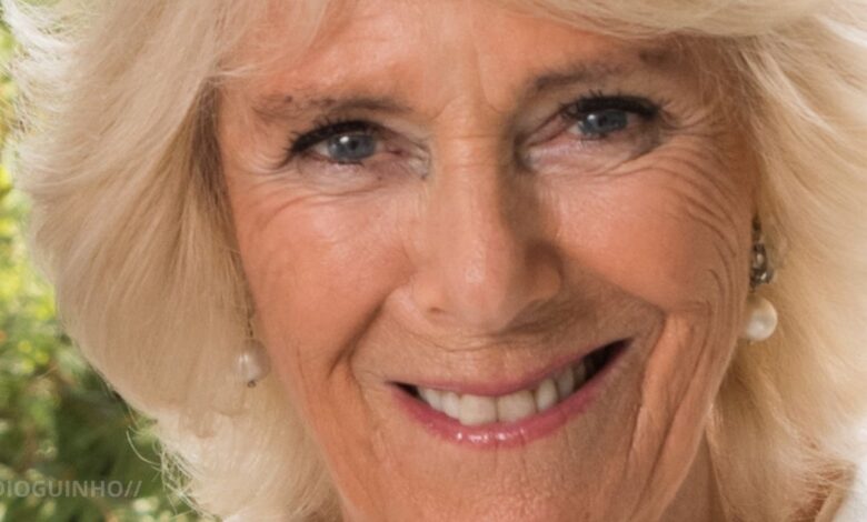 Harry engole orgulho: Camilla presente no reencontro familiar