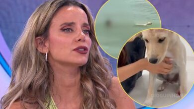Psicóloga alerta para "distúrbio emocional" de menor que tentou afogar cão em Lisboa