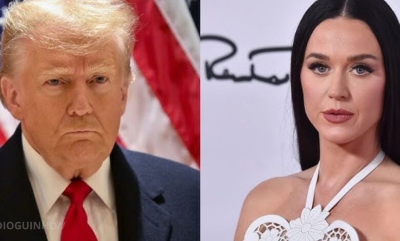 Katy Perry indignada com a Casa Branca por usar 'Firework' em vídeo de ataques militares