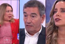 Criança que tentou afogar o cão com antecedentes de crueldade gera debate de revolta na TVI