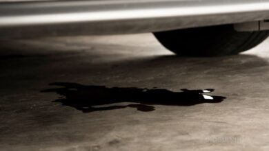 Jovem de 20 anos em surto psicótico esfaqueia pai no pescoço na A23