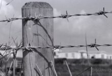 Áustria acusada de apagar a história! Esquadra da polícia na casa de Hitler e supermercado em antigo campo de concentração