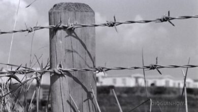 Áustria acusada de apagar a história! Esquadra da polícia na casa de Hitler e supermercado em antigo campo de concentração