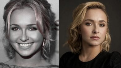 Hayden Panettiere, a estrela de 'Heroes' e 'Nashville', morre aos 36 anos: família pede privacidade