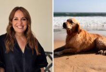 Tânia Ribas de Oliveira dá o exemplo e condena abandono de animais no verão