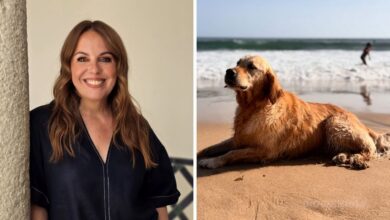 Tânia Ribas de Oliveira dá o exemplo e condena abandono de animais no verão