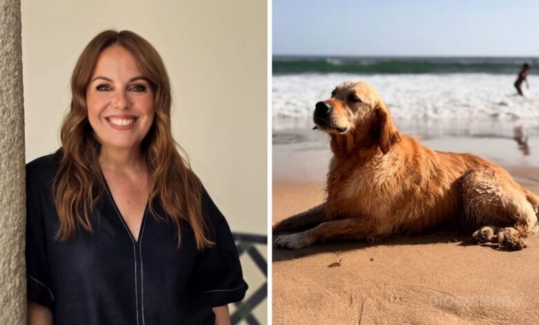 Tânia Ribas de Oliveira dá o exemplo e condena abandono de animais no verão