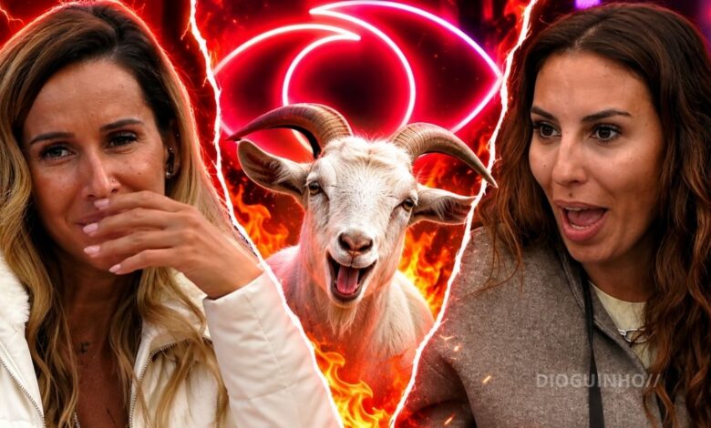 "És uma grande cabra": Discussão entre Érica Silva e Catarina Miranda no «BB All Stars» chega ao Brasil
