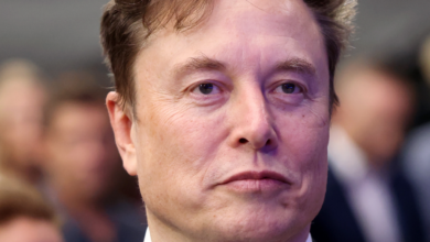 Censura digital? Plataformas rejeitam publicidade a documentário crítico de Elon Musk