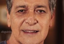 Gracindo Jr., ator da TV Globo desde 1964, morre aos 83 anos: 60 anos de carreira dedicados à arte