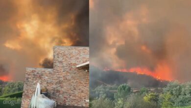 Susana Dias Ramos viveu momentos de terror com incêndio junto à sua casa: "É terrorismo"