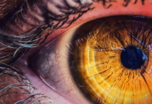 Quando Chegaram os Primeiros Humanos às Américas? ADN Coloca Primeiros Humanos no Auge da Era Glacial