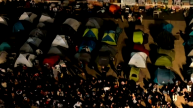 Polícia varre acampamento no Porto: "Resistência" e feridos em noite de tensão por causa da habitação